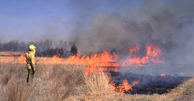 The Role Of Prescribed Fire