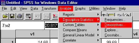 Screenshot of menu item: Analyse > Descriptive Statistics > Descriptives