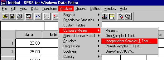 Screenshot of menu item: Analyze > Compare Means > Independent-Samples T Test...