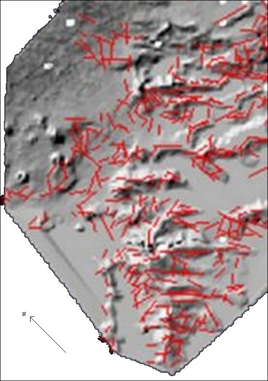 Fig 2. Mapped Lineaments from DEM of the SW flank