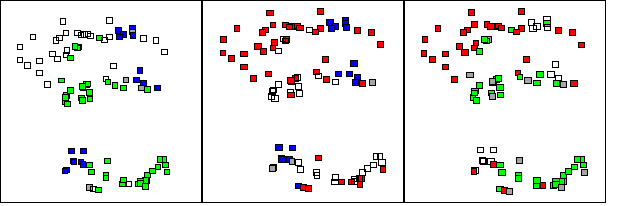 Subjectivity within Categories