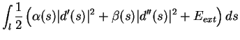 $\displaystyle \int_l{ \frac{1}{2} \left(\alpha(s) \vert d'(s)\vert^2 + \beta(s) \vert d''(s)\vert^2 +E_{ext} \right) ds}$