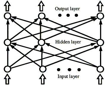 a BP neural network